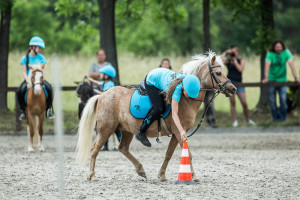 20160619_ZER_trojanovice_056